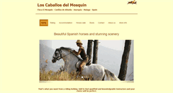 Desktop Screenshot of horseriding-andalucia.com