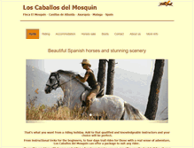 Tablet Screenshot of horseriding-andalucia.com